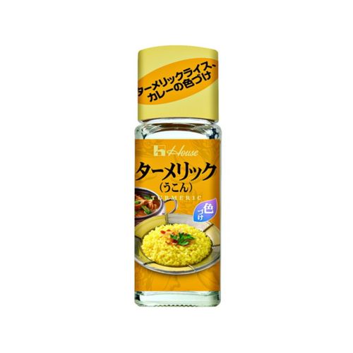 ハウス食品 ハウス ターメリック １４ｇ（160個）(0000049716078 ×160) 取り寄せ商品