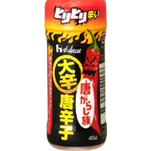 ハウス食品 ハウス 唐がらし族 大辛唐辛子 ４５ｇ（40個）(0000045140136 ×40) 取り寄せ商品