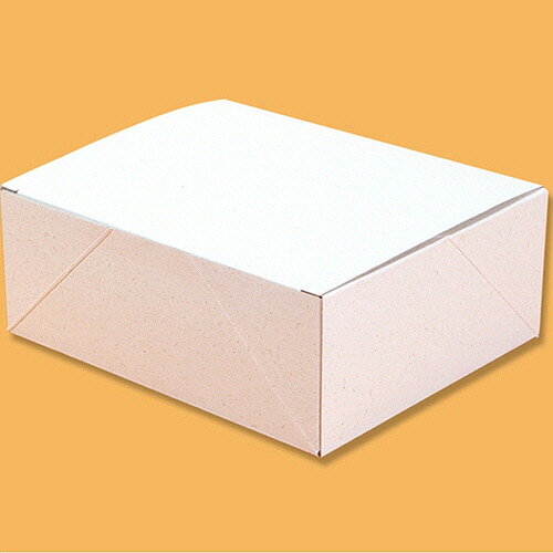 シモジマ 食品容器 エコパームボックス プレーンL 1セット(200個:20個×10パック)(4901755651706 x10) 取り寄せ商品