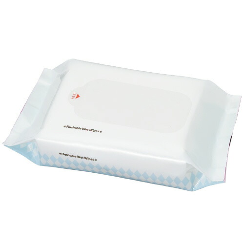 TPS トイレに流せるウェットシート 1セット(2160枚:72枚×30パック)(4589585760920 x30) 取り寄せ商品