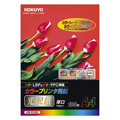 コクヨ KOKUYO 色つや印刷者質問用紙(光輝紙) A4 1仕掛ける(500枚:100枚×5冊)(4901480588957 x5) 取り寄せ商いもの
