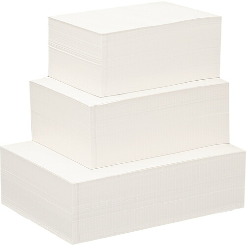 TPS 印刷工用薬袋 A5(148x210粍) 1仕掛ける(4000枚:500枚x8冊)(4546550001198 x8) 取り寄せ商いもの