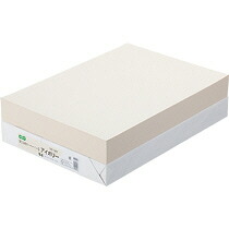 TPS αエコカラーペーパーII B4 アイボリー 1セット(2500枚:500枚x5冊)(4522701013340 x5) 目安在庫\u003d○