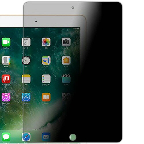 光興業 覗き見防止フィルター TLNW N8 iPad10.2型用 全面吸着式 1枚(TLN-ZE4 IPAD102) 取り寄せ商品
