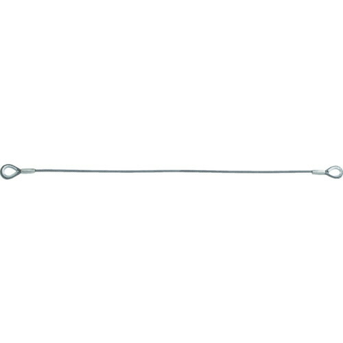 ＴＲＵＳＣＯ ワイヤロープスリング E印字機 軽銀鍵を掛ける 12mm×6m 1本(TWEL-12S6) 取り寄せ商いもの