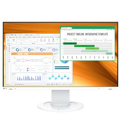 EIZO EV2400R-WT 標準尺度店卸し資産\u003d△