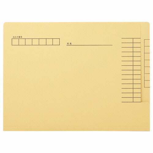 ライオン LION カルテフォルダー KF-1K-50P(668-96) 取り寄せ商品
