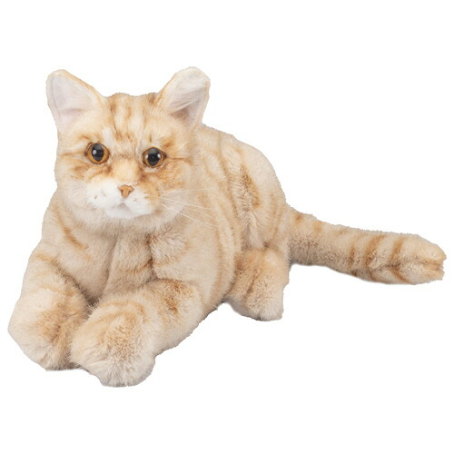 トレンドマスター なでなでねこちゃんEX とら 1個(ﾅﾃﾞﾅﾃﾞﾈｺﾁﾔﾝ EX ﾄﾗ) 取り寄せ商品