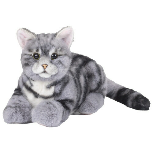 トレンドマスター なでなでねこちゃんEX アメショー 1個(ﾅﾃﾞﾅﾃﾞﾈｺﾁﾔﾝ EX ｱﾒｼﾖ-) 取り寄せ商品