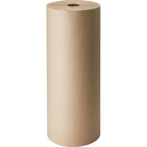 TPS ダン古紙ボーガスペーパー 538mm×350m 1巻(TAN538X350) 準拠集団店卸し資産\u003d○
