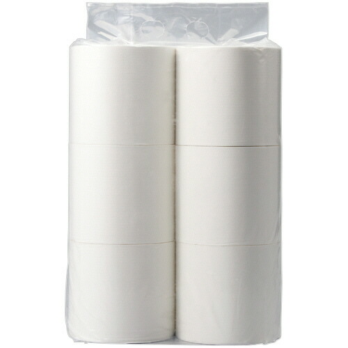 TPS トイレットペーパーパルプ100%パック包装シングル芯無250m 1ケース(24ロール:6ロール×4パック)(TS2524V) 取り寄せ商品