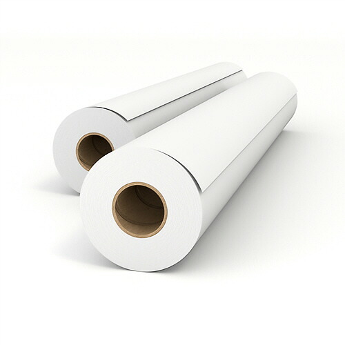 キヤノンＰＰＳ 生まれ変わり平平凡凡たる紙 緑であること付け紙J 420mm×200m 1箱(2本)(GN4200B) 取り寄せ商いもの