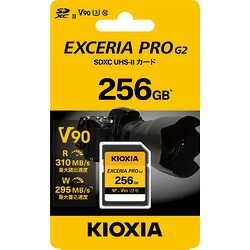 ＫＩＯＸＩＡ キオクシア KSDXU-B256G(1598666) 取り寄せ商品