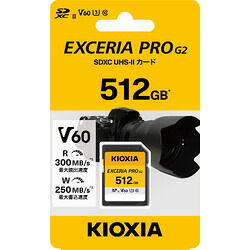 ＫＩＯＸＩＡ キオクシア KSDHU-B512G(1598670) 取り寄せ商いもの