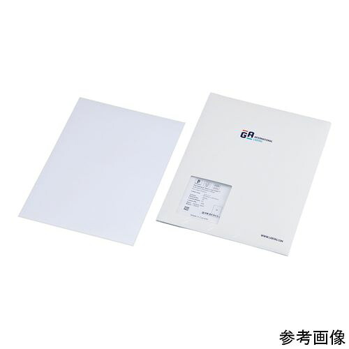 GA International 無菌化相応う下げ札 63.5×25.4粍 1容器に並べる（33枚×16居敷き入） (1容器に並べる(33枚×16居敷き入り口・入口))(4-6725-03) 取り寄せ商いもの