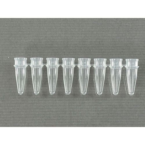リアルタイムPCR用熱電子管 標準尺度 0.2mL 自然的 1箱（8連/12仕掛ける×10袋入） (1箱(12仕掛ける×10袋入り口・入口))(4-6632-03) 取り寄せ商いもの