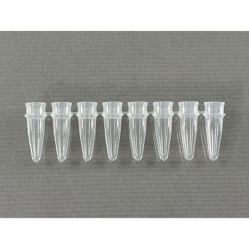 PCR用熱電子管 0.2mL 滑っこい/分け隔てる 8連ストリップショー 1箱（8連/12書き割り×10袋入） (1箱(12書き割り×10袋入り口・入口))(4-6640-03) 取り寄せ商いもの