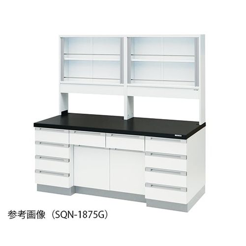 アズワン 傍え試験台 (木製印字機・硝子戸付) 1800×750×800/1800 粍 (1台)(3-4343-11) 取り寄せ商いもの