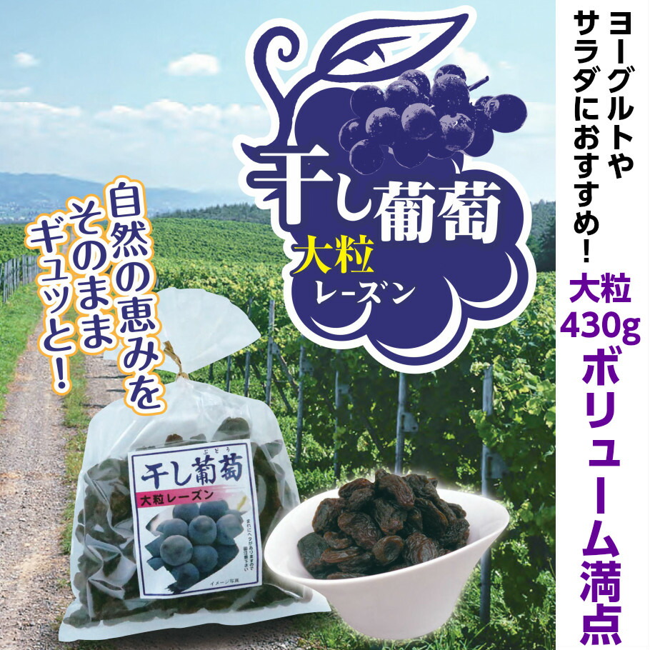 数量限定 干し葡萄 大粒レーズン 430g ドライフルーツ 干しぶどう 干しブドウ 果物 www.agroservet.com