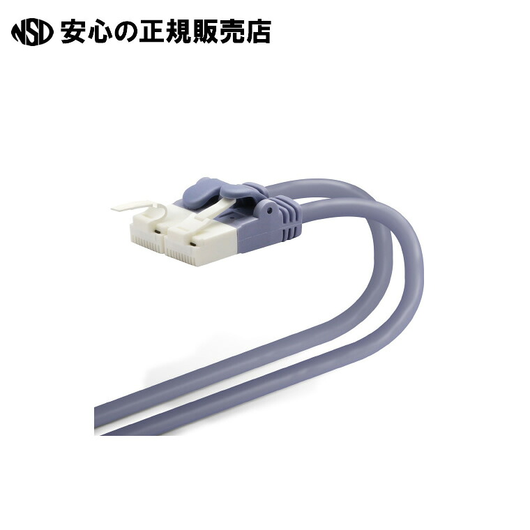 《 エレコム 》 ローカルエリアネットワーク有線テレビCat6A 青 10m*5本LD-GPAT/BU100 LANケーブル-ケーブル