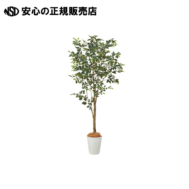 人工あずま屋ナチュラベンジャミンH2100 92509  《東花》