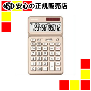 楽天市場】《カシオ計算機》 本格実務電卓 DS-3DB 14桁 : 南信堂 楽天