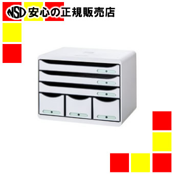 《エクザコンタ》 ビッグボックスプラスA4横 3段+小物 LGY 9,694円
