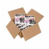 三菱化学 ＤＶＤ－Ｒ 4.7GB DHR47JPP10C 100枚