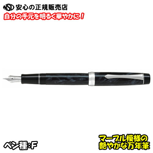 楽天市場】パイロット 万年筆 / カスタムヘリテイジ SE ペン種F