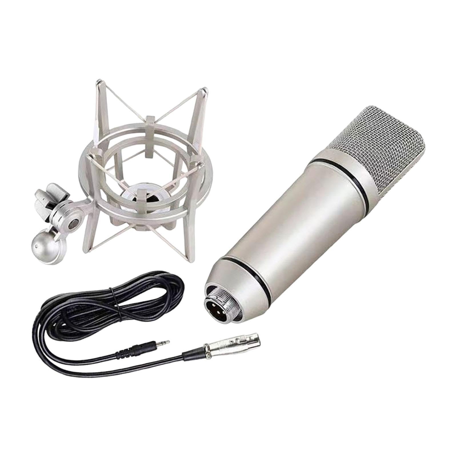 コンデンサーマイクロホン 高声遣い 制作室マイクロホン ぼうぜん自失マウント仕掛ける XLR 3.5粍繋ぎ 吹き込み 宅録 実況 映像配送 快い音仕立て上げる DTM 労働者階級遣りかた 195mm×54粍 しろがね色 1.0仕掛ける