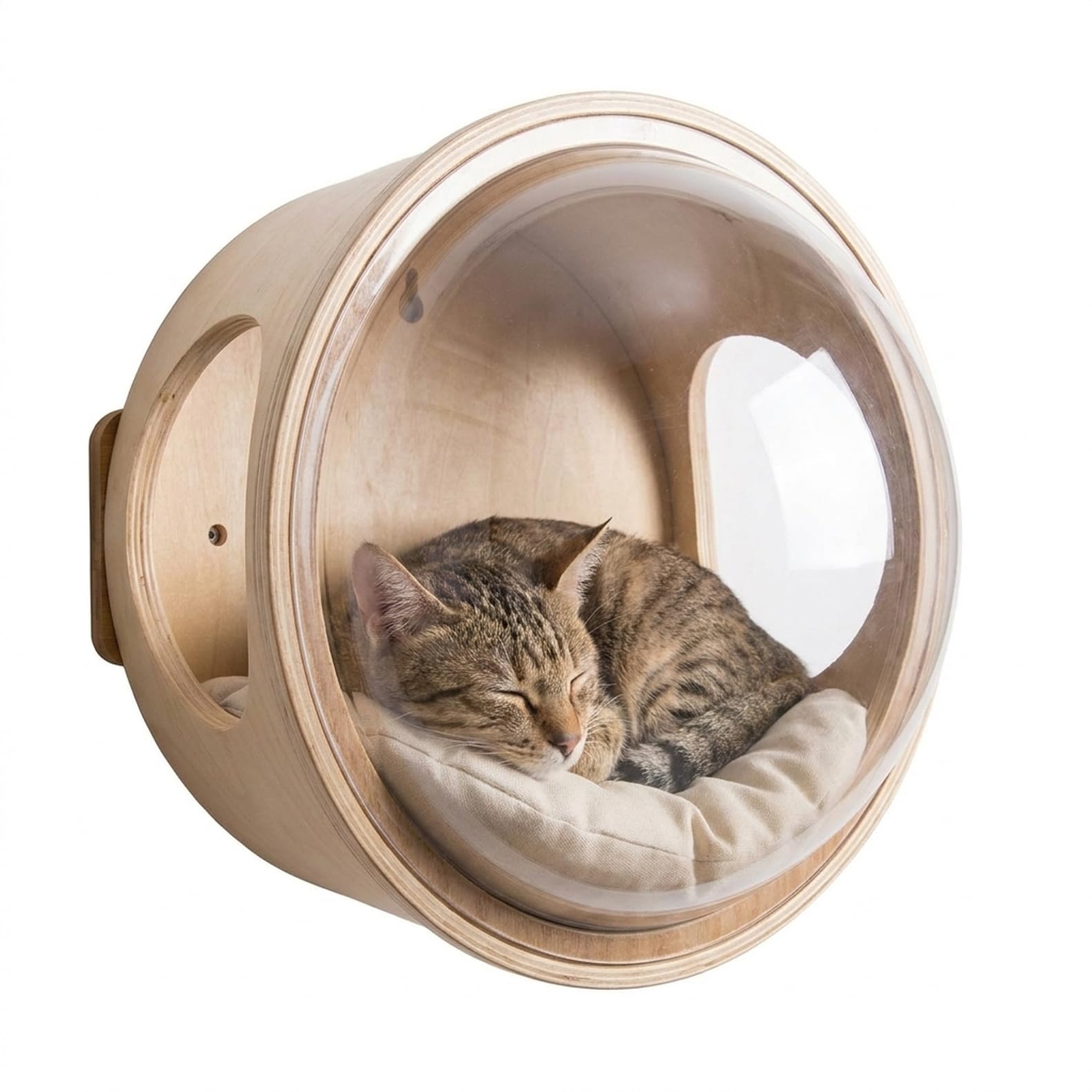 キャットハウス 飾りつけ 恒星船 猫 臥榻 学生寄宿舎型 澄み切った アクリル樹脂 取り付け 平置き 両用 木製 愛玩動物臥榻 キャットウォーク 壁 棲み家 猫調度品 猫の巣 キャットステップ 跳び板付き添い人 省空白文字 オール時節 今めかしい 読書人