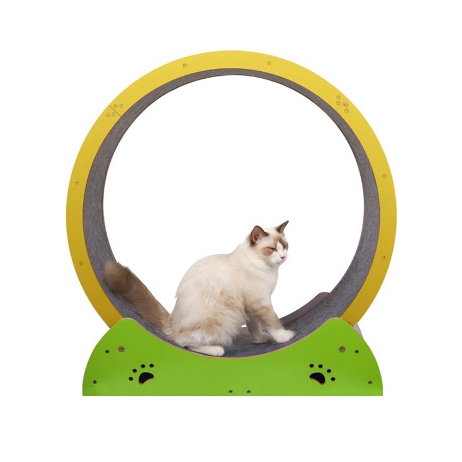 猫用運動すること車輪 回し車 猫 トレッドミル キャットホイール 剪断応力取り止める 運動すること機能不全取り止める 静音心積もり 精神的な統合飾り気の無い 愛玩動物装置 室内用 室内装飾