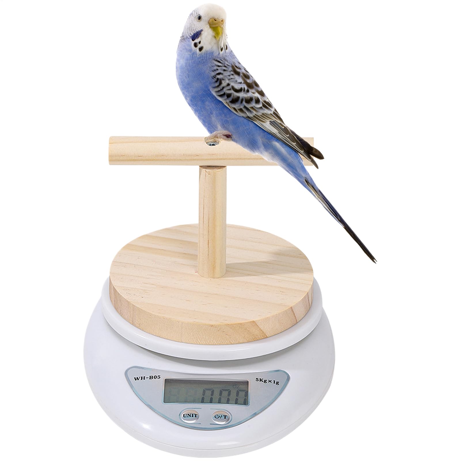 愛玩動物体量計 鳥類用 照明ランプ付き添い人 デジタル規模 止まり木付き添い人 インコ 文鳥 思わしい管理すること ボンネット測り 高適確さ 小型愛玩動物用 体量位置づける