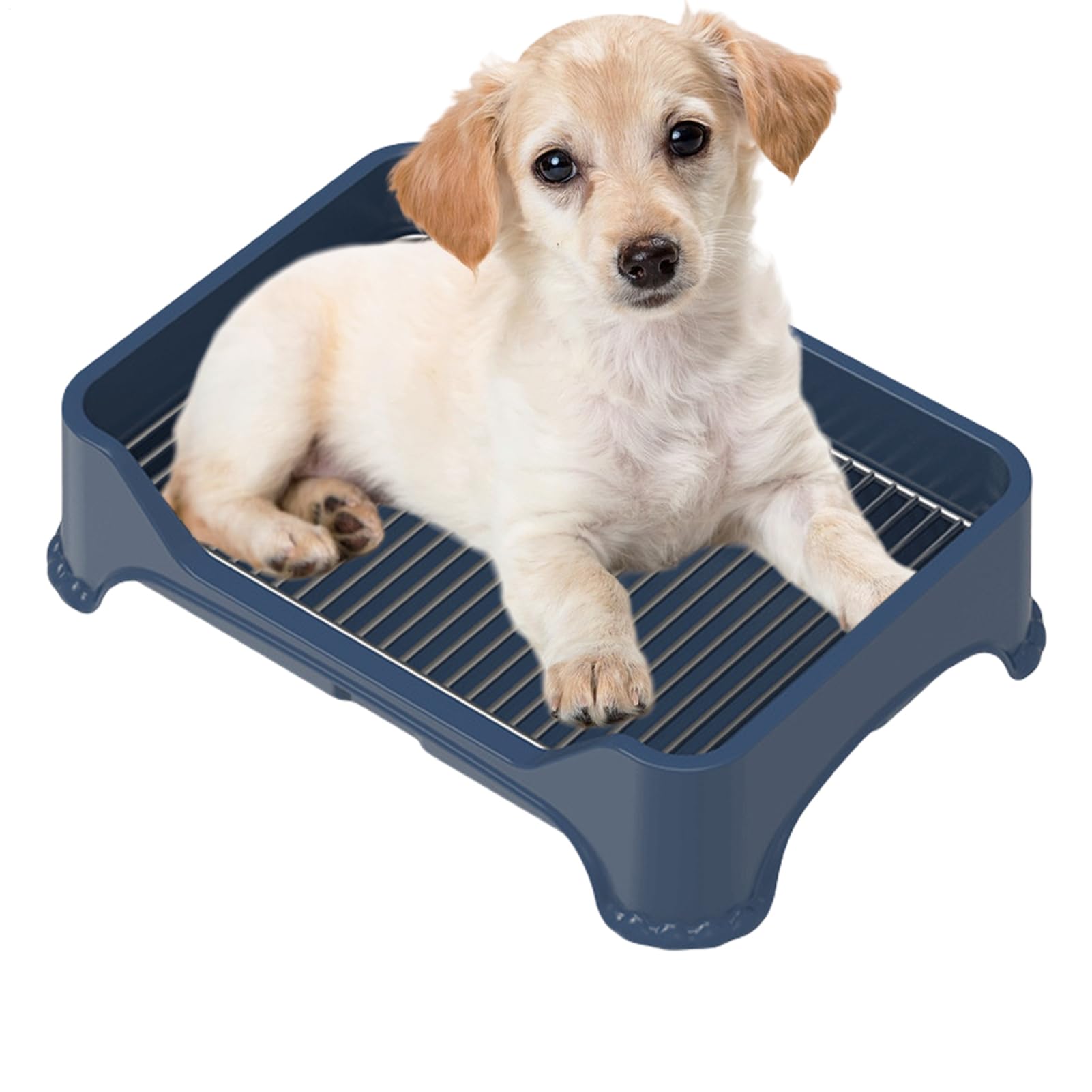 犬用 室内用便器お盆 ステンレス鋼製 メッシュスノコ付き添い人 踏み外し押しとどめる 上滑り打ちきり 愛玩動物室内用便器 敷き布保持者 室内用便器お盆 小型犬 室内用 愛玩動物装置 51.5cm×16.5珊