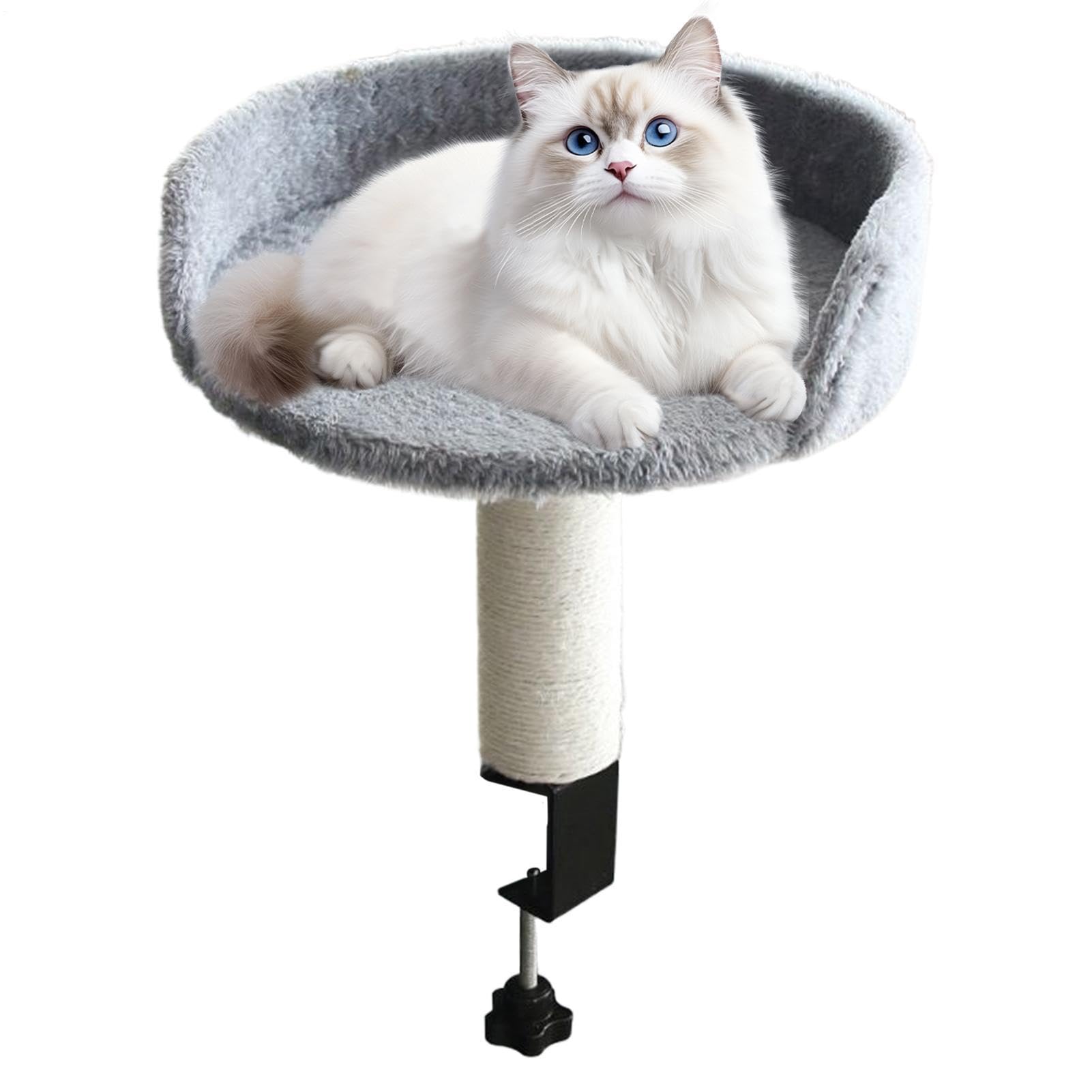 猫 臥榻 事務机 キャットタワー 卓上 クランプ くっ付ける式 一覧表築き上げる 省空白文字 小型犬 愛玩動物臥榻 ハンモック 爪とぎ スクラッチャー サイザル麻 ねこ 極点 360度回転させる 座布団 室内用 愛玩動物備品