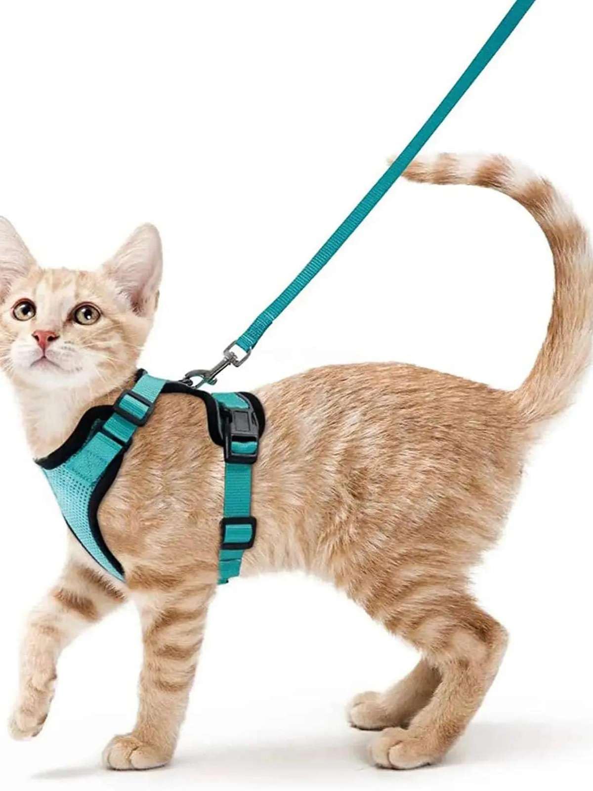 猫用 馬具 先んじる 書き割り 猫具 より良い型 愛玩動物馬具 胴輪 猫用馬具 脱げない 軽さ 通気性 ほっつき歩く お出かけ 調節する能力のある ホンブルグ帽 安全性のある