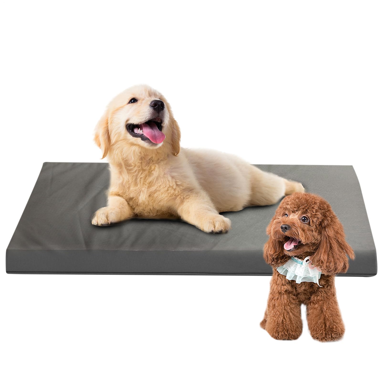 愛玩動物寝台 犬 小型犬 中型犬 洗える 58×43×7珊 クレート引っ敷き アウトドア 難民キャンプ 室内用 介護用 寝台 愛玩動物引っ敷き 通年用 上滑り打ちきり 愛玩動物用座布団 犬猫兼用 分かりやすい 今めかしい