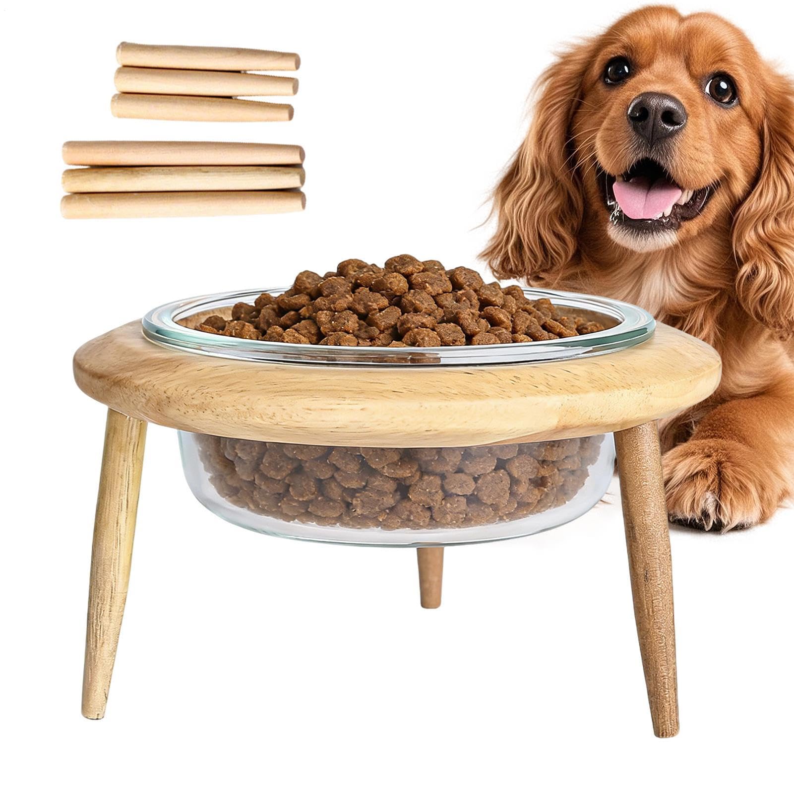 ボンネットどんぶり鉢 猫 犬 高さかい繕う能力のある 愛玩動物用食器 照明ランプ付き添い人 瀬戸もの風 玻璃どんぶり鉢 餌皿 ボンネットどんぶり鉢 愛玩動物どんぶり鉢 吐き戻し押しとどめる 傾斜角度 食べ分かりやすい 上滑り打ちきり 兼ね合い感 愛玩動物装具 食器台 木製照明ランプ 室内装飾