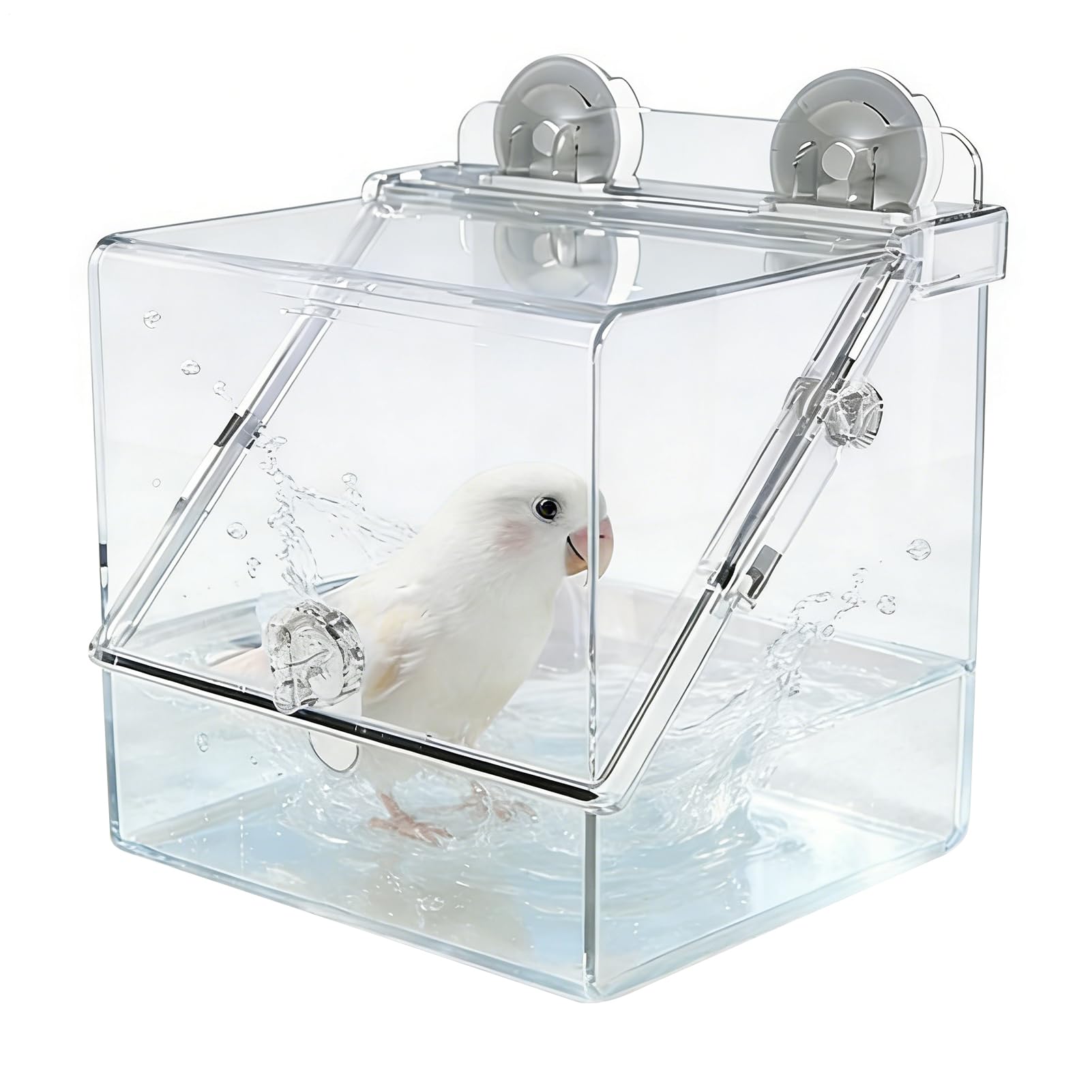 鳥類用 二階建てバス溜め桶 水泳入れもの 飛び散り押しとどめる 水泳容れもの 餌入れ 鳥伏せ籠用 多役立つこと 澄み切った アクリル樹脂製 止まり木付き添い人 バッジー 文鳥 カナリア 小型小鳥用