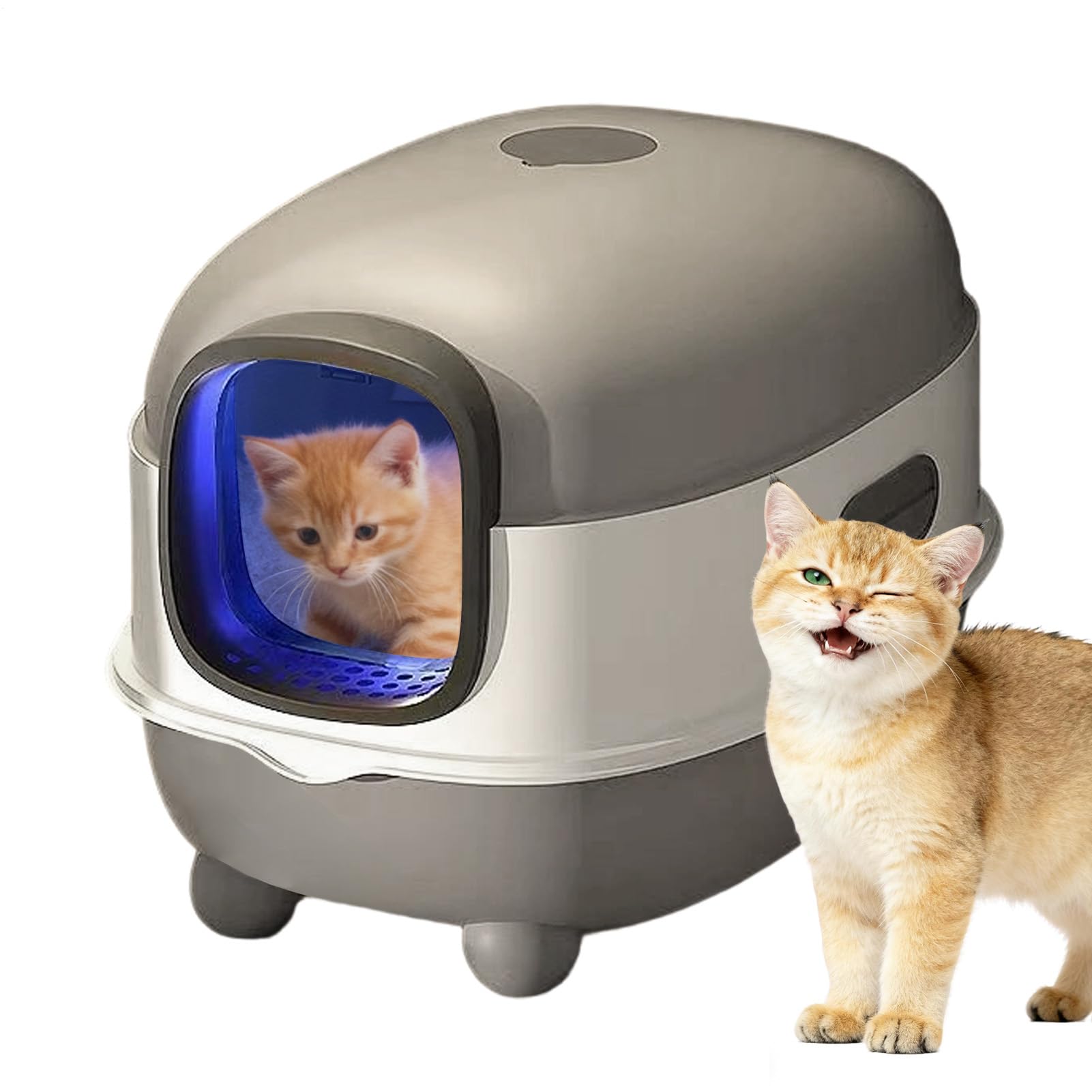 猫室内用便器 猫用室内用便器 大静電容量 学生寄宿舎型 室内用便器本体 盛りだくさん取りまかなう 砂の飛び散り押しとどめる 密閉心積もり お取りつくろう飾り気の無い 今めかしい 大型 猫砂 お洗い濯ぎラクラク 子ネコ 成猫用 愛玩動物装置