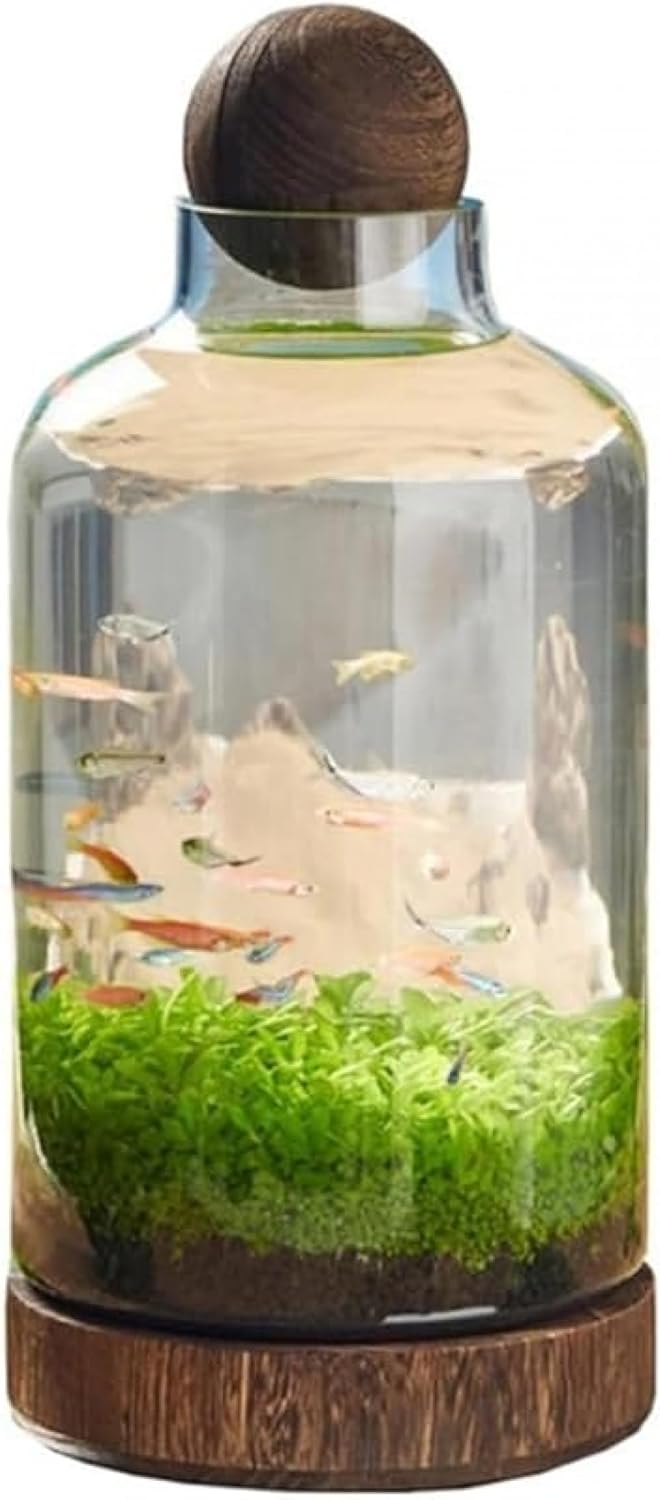水槽 水耕栽培用ボトル 透明ガラス ミニチュア風景 木製トレイ アクアリウム 厚手エコボトル 観賞用水槽 ()|NeoMart
