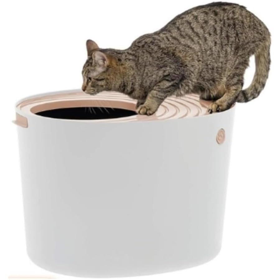 飛散防止設計 レギュラーサイズ猫用トイレ サークル付き清潔飼育用品 ()｜NeoMart