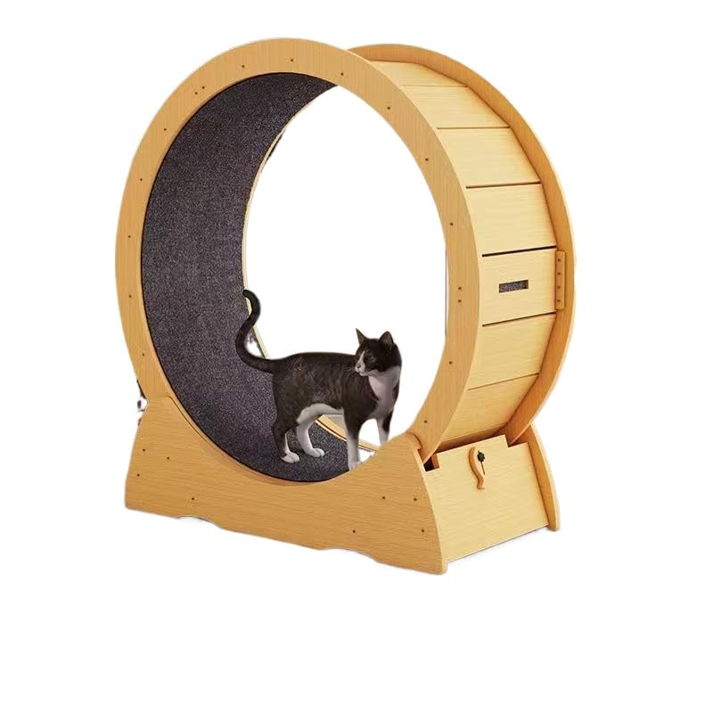 猫用ランニングホイール、インドア運動器具、おしゃれおもちゃ、エクササイズホイール、室内猫専用 (ミディアム)|NeoMart