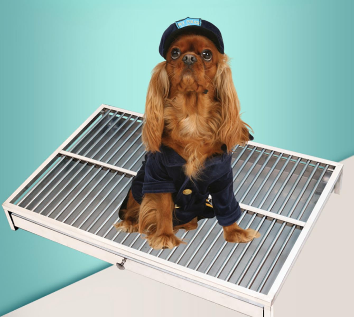 犬用トイレトレイ ステンレス製 ペットトレーニングトレイ 大容量 お手入れ簡単 衛生的 48*33*10 (62*42*10)|NeoMart
