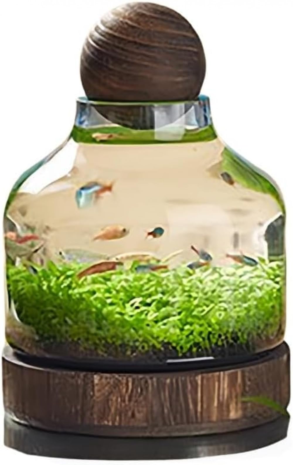 和風透明ガラス金魚鉢 木製トレイ付き 厚手エコ素材 家庭用インテリア水槽 水耕栽培・マイクロランドスケープに最適 (24×17センチメートル)|NeoMart