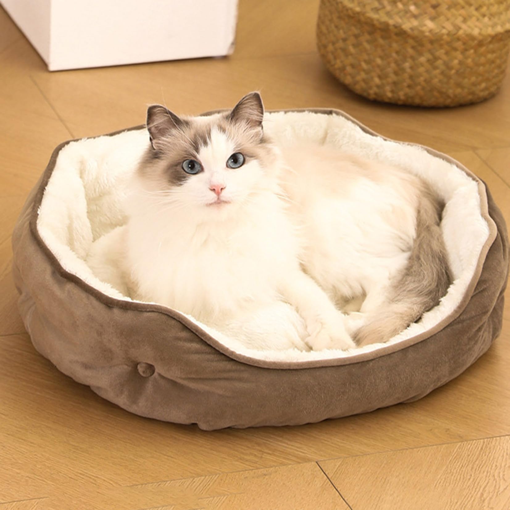 [3] ペットソファ 小型 猫 ベッド 通年 冬 犬用ベッド ペットベッド ペットクッション 65*55*20 洗える マット 四季対応 保温 通気性 ねこベッド 小動物用 ペット用品 コーヒー 耐噛み 滑り止め 猫グッズ 犬グッズ ふわふわ ぐっすり眠る｜NeoMart