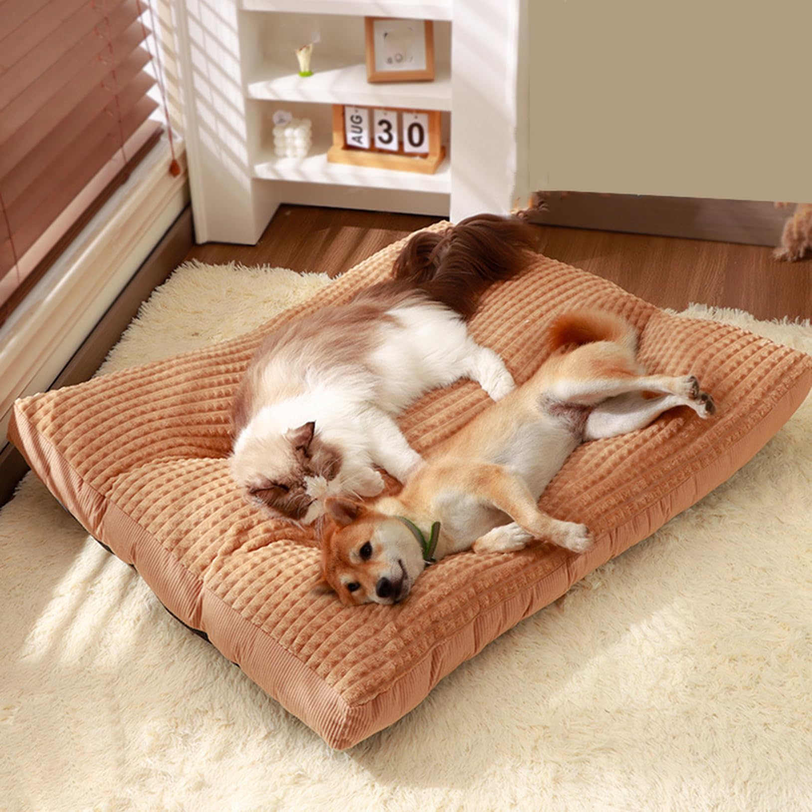 [3] 犬 猫 80*66*8 ベッド ペットベッド 冬 洗える 滑り止め 寒さ対策 室内 犬用ベッド ふわふわ 柔らかい 通年 丸洗い 通気性 キャット 設計2 ドッグ 小型犬 猫用 ペットソファー 可愛い オールシーズン ペットクッション マット ペット用品｜NeoMart