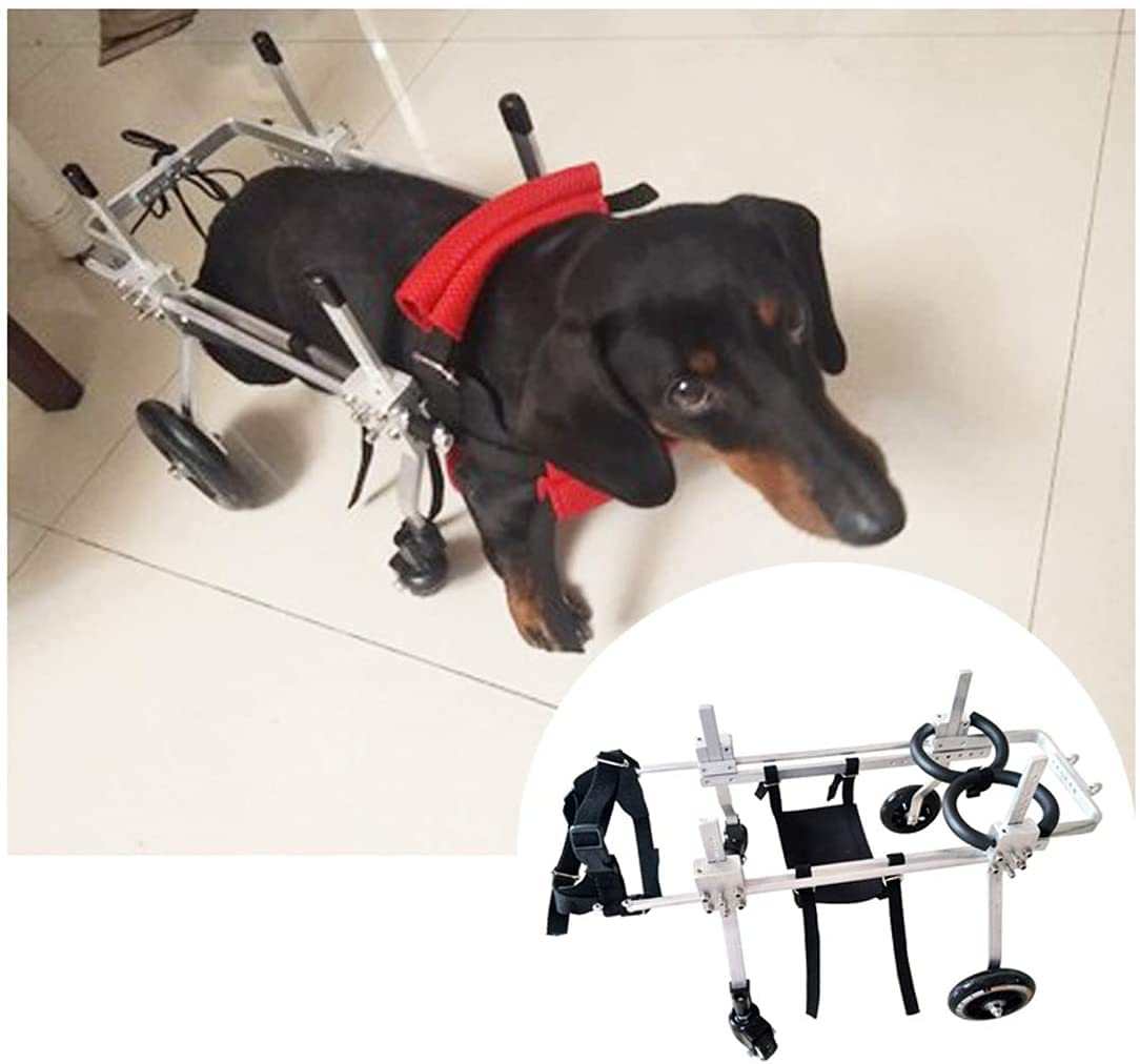 老犬、猫、ウサギ、スクーター用の4輪ペット車椅子中小犬用の調節可能なペット車椅子ペットスクーター犬用カート(5サイズ)調節可能なペット車椅子(サイズ:)|NeoMart