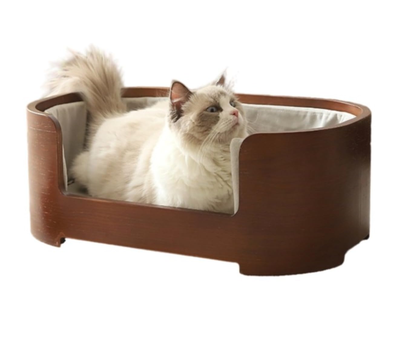 家庭用室内猫ベッド/ペット用猫ベッド/小型犬用ベッド。フィオズウェアオールシーズン対応、別荘にも最適。取り外し可能、ペットフレンドリー、涼しく快適。 (58*35.5*22,)|NeoMart