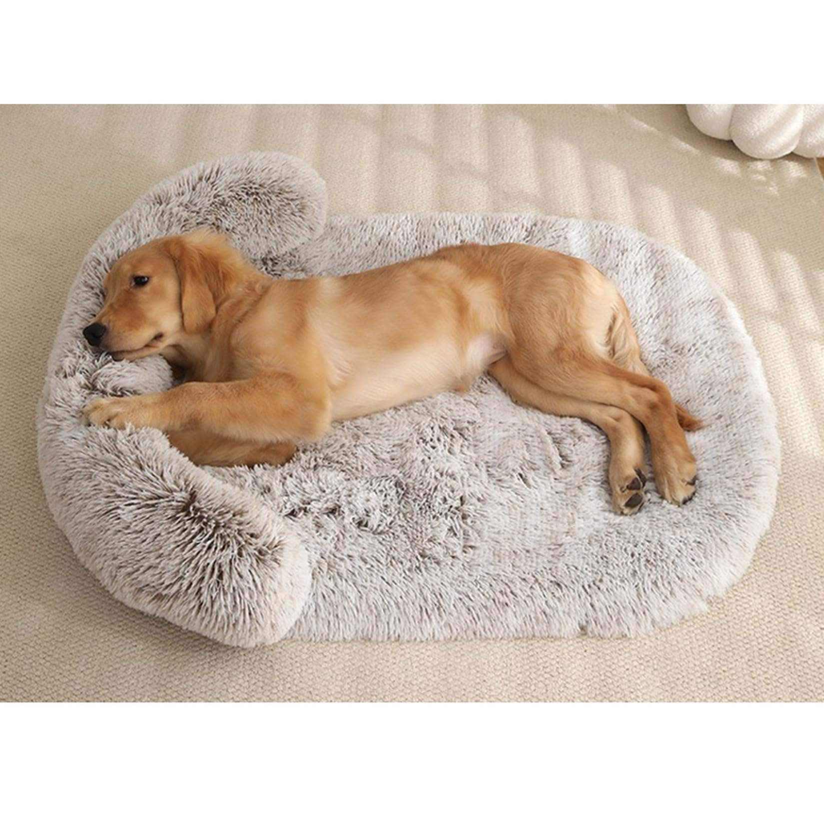 [3] ペットベッド 55*40 おしゃれ 犬用 小型犬 猫 洗える 設計5 春 夏 秋 冬 ペット用 クッション 滑り止め インテリア いぬ ねこ 中型犬 大型犬 オールシーズン 頑丈 ペットソファ 寝床 かわいい ペット用ベット 室内 屋内 シンプル｜NeoMart